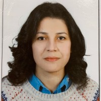 Nermin Gerges