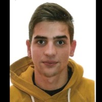 Brian Cavallini