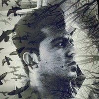 Ali Mosayebi