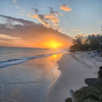 Stephen Robertson MSc