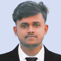 Professional Wordpress Web Developer  SEO Expert In USA