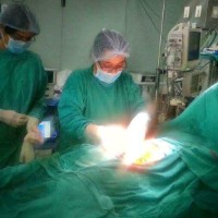 Dr. Amrita Himalayni