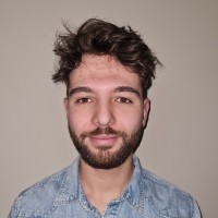 Vlad Radu Indrecan