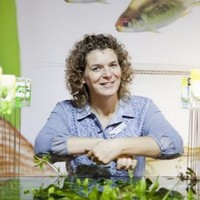Petra Hogendoorn