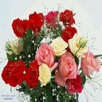 Inder Brar