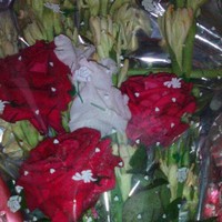 Alamgir hossin