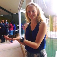 Claire Mccorkindale