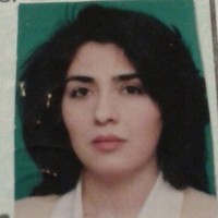 Gul Arslan