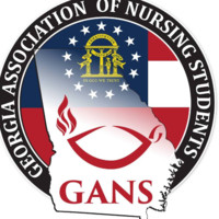 Legislative Gans