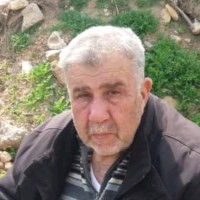 Mhd Bashar Armashi