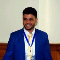 Ali Elemam
