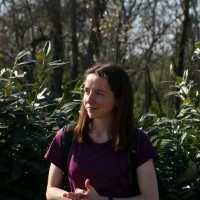 Cecilia Micciantuono