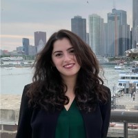 Aseel Khatib