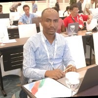 Lemi Beksisa