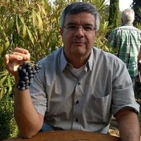 Roberto Luís Mariconi