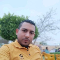 Hassan Rabie