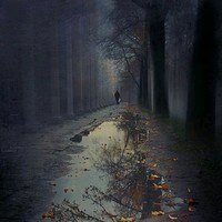 Vasile U