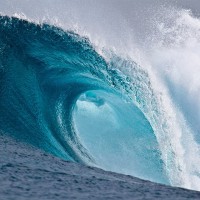 The Wave Social