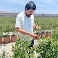 Tulio Cesar Diaz Urdampilleta