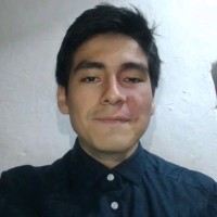 Maicol Minaya Martin