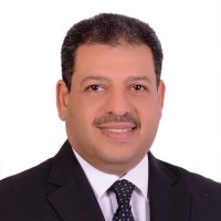 Yasser Amer CA,FESAA,FEST