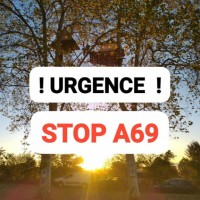 Jean-François Saint-Hilary 🐿️