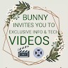 bunny tech