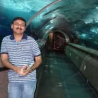 Narendra Ande