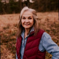 Lyn Salvo