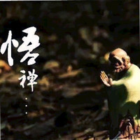 薛伟伟