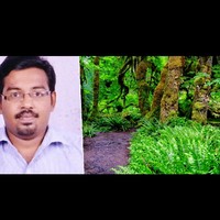 Ashwin PK