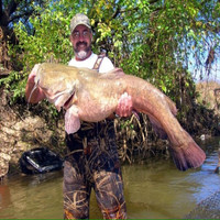 Vaughn Weaver