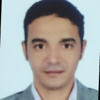 Wael Mostafa