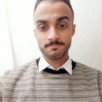 Sayed Adel