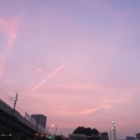 马益帆