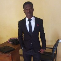 Stephen Oleforo,  MNIM