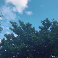 胡哲宇