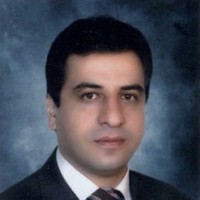 Masoud Mirzabagherian