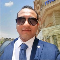 Amr Hussein