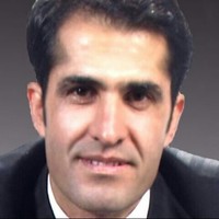 majid nemati