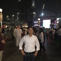 Feng David
