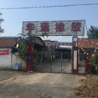 吴锦涛