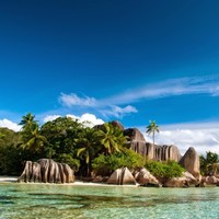 Rodolfo Dibene Acosta