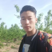 杜新年