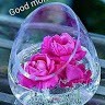 Bilal Hanif