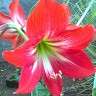 Sunil Gamit