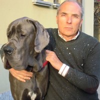 Luigi Ferrante