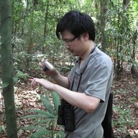 Guojie Zhang
