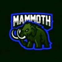 Jesus L. Goite Muñoz