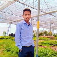 Satish kumar Singh